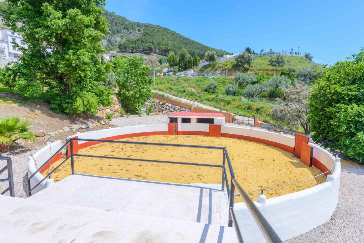 Casa Flores Con Piscina Interior Climatizada Alcaucín Buitenkant foto